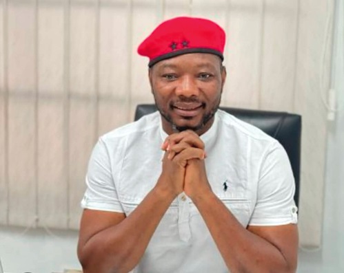 Constitutional review failed on public asset declarations — Mornah