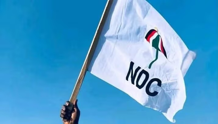 NDC sets up committee to probe Ayawaso East vote buying
