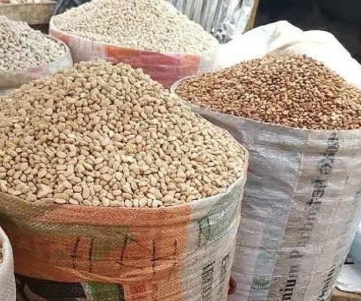 Cement not approved for preserving beans — FDA