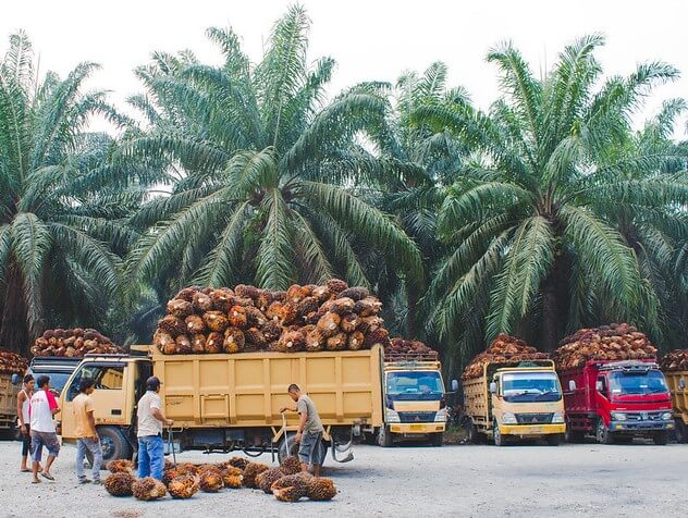 OSP investigates GHS25.8 million palm oil diversion scandal