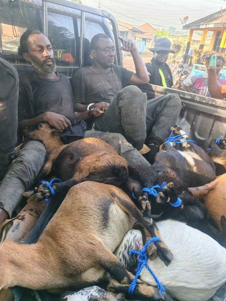 Police officer shot by goat thieves in Assin Manso