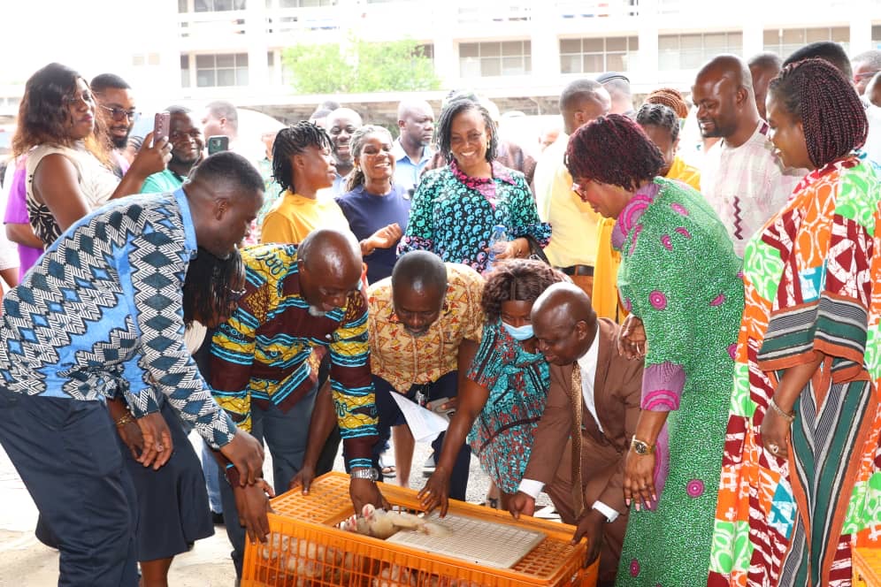 I will hold you responsible if Nkoko Nketenkete fails – Minister warns MDCEs