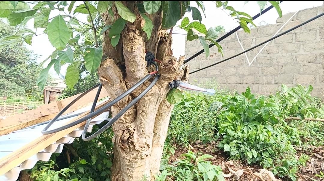 Over 50 displaced as storm fells power lines in Ajumako Kyibel