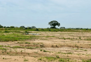 Government lifts temporary ban on public land transactions